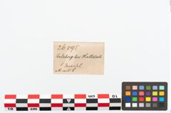 Etikett zu Bronzegewandnadel (NHMW-PRAE-026595)